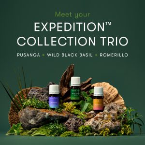 Expedition Collection